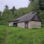 WWII radar station disguised as a farmhouse in the Redwoods, now weathered and overgrown.
