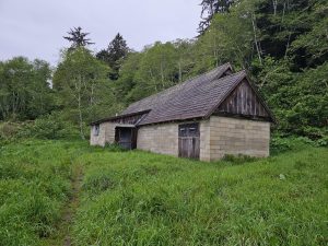 WWII radar station disguised as a farmhouse in the Redwoods, now weathered and overgrown.